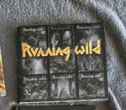 Running Wild - riding the storm