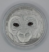 2013  Kamerun 1000 Francs   Gorille de cross river 1 oz 