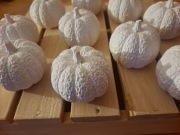 Figurka dyni z gipsu (5 sztuki)