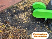 Frezowanie usuwanie wyrywanie pni. Wycinka drzew