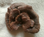 Agrafka - Ozdobne zapięcie do swetra nr 15