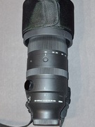 Sigma Sport 150-600 Sony E