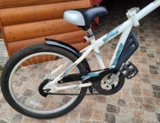 Przyczepka rowerowa WeeRide 