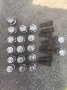 Nakrętki do alu felg Ford Escort 