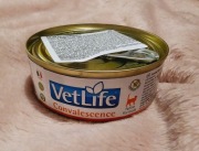 Karma dla kota Farmina Vet Life Convalescence 85g