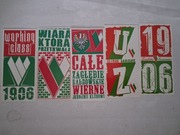 Vlepki Zagłębie Sosnowiec Barwowe #4