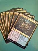 Friendly Rivalry MTG LTR