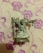 Sorcerer of chaos Nurgle