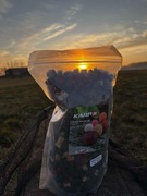 Mix peletów KarpR 8-14mm 1KG