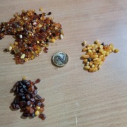 Drobna bębnowa bursztynowa