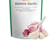 DOLMIX GARLIC  z czosnkiem opakowanie 20 kg