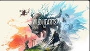 Wild Hearts klucz EA App