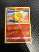 Karta pokemon TCG Numel 13/111 reverse holo