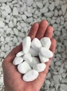 Grys do Lastryko Thassos Grecki Biały