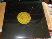 Ben Frost Super Dark Times Winyl