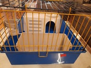 Klatka dla gryzoni świnka morska , królik