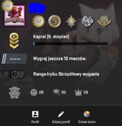 KONTO CS2 CS I 5 MEDALI I 28 LVL STEAM 6lat+ I SKINY 150ZŁ+ I OKAZJA