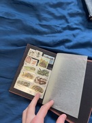 Klaser ze znaczkami: Sport, Zwierzęta, ZSRR, Kuba (Lata 80/90)