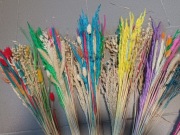 Trawy i zboża naturalne barwione na palmy mix kolorów 