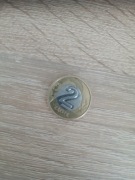 2 polskie cebuliony 