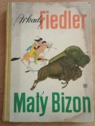 Mały Bizon Arkady Fiedler 