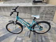 Alpina eco rama 18" kola26"