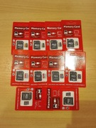 Karty pamięci 1TB...10sztuk