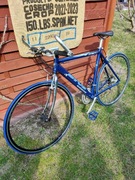 Rower miejski Batavus Koga