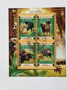 (863) blok , bawoły