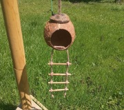 Domek budka lęgowa z kokosa kryjówka dla ptaków papugi myszy chomika kokos