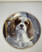 talerz kolekcjonerski PIESEK the listener by doyle