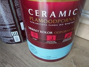 Farba Ceramiczna Magnat Plamoodporna C19