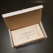 20 zł 2009 J. SŁOWACKI Paczka 100 banknotów UNC