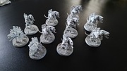 Warhammer 40k - Tyranids Barbaunts x10