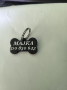 Adresówka dla Psa Identyfikator Druk 3D Kolory Imię