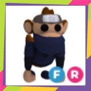 Fly Ride Ninja Monkey FR | Adopt Me | Roblox