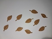 Scrapki listek 10 szt. 19x8 i 16x9 mm kraft gramatura 250 g/m2