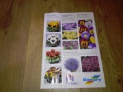 Fux Flora 1 Benary rośliny kwiaty ulotka broszura reklamowa lata 90