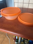 Tupperware miśki harmonizacja 1,5 l
