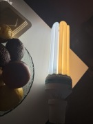 Lampa do uprawy roślin Elektrox CFL 200W – 2700/6500K | grow light