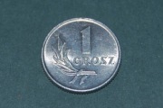1 grosz 1949r BZ Moneta PRL Starocia