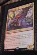 Ashroot Animist [FDN]