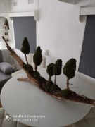 Miniaturowy krajobraz na korze.Naturalna dekoracja, ręcznie wykonana. Duża.
