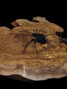 Blat stolik kawowy drewno oliwne mat