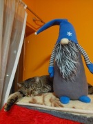 Skrzat Krasnal Rękodzieło Zabawka Ozdoba 