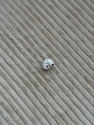 Słuchawki bezprzewodowe Samsung Galaxy Buds2 - JE1018