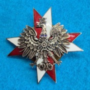 Odznaka 1 Pułk Ułanów