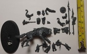 Gloomspite Gitz - Snarlfang Rider - Jeździec na Wargu - Grabieżca!