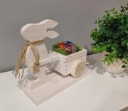 Zając wielkanocny  ,kwietnik.