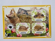 (755) blok żółwie